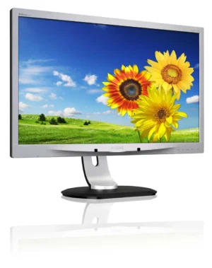 60 96 cm (24)  FullHD 1920x1080 60 Hz LED  5 ms  250 cd m2  VGA   DVI  Displayport